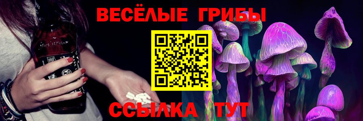 Галлюциногенные грибы ЛСД  Галлюциногенные грибы Psilocybine cubensis  Вход с VPN  Лабинск 